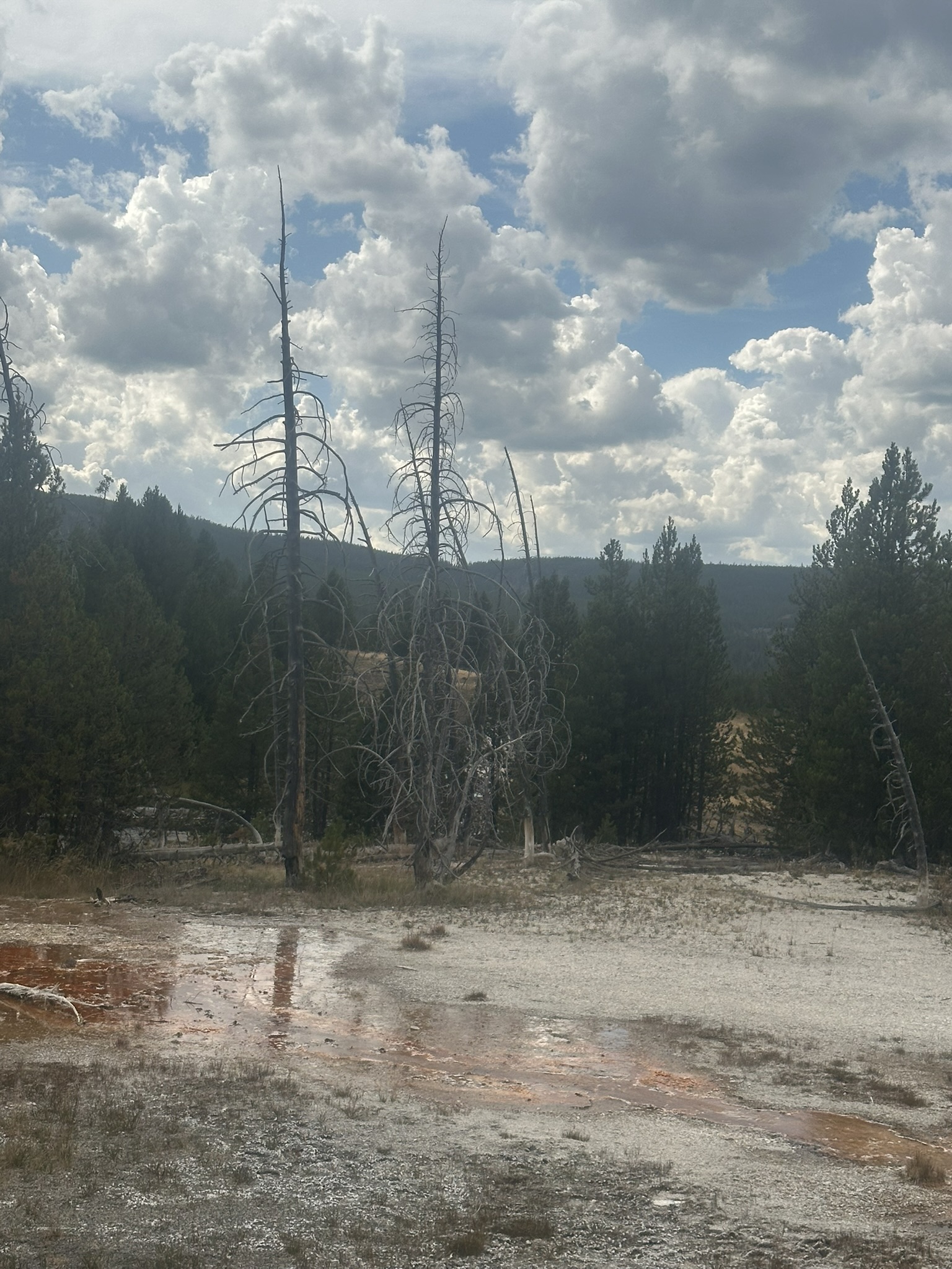 Yellowstone And Grand Teton National Parks - Image 107